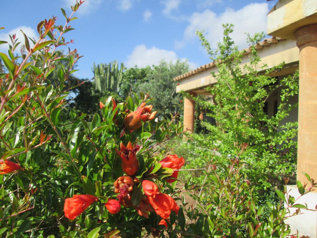 Maison d'hôtes A Giummara à Marsala Extérieur photo
